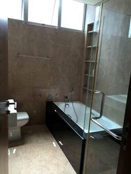 Mill Point (D10), Apartment #586129271